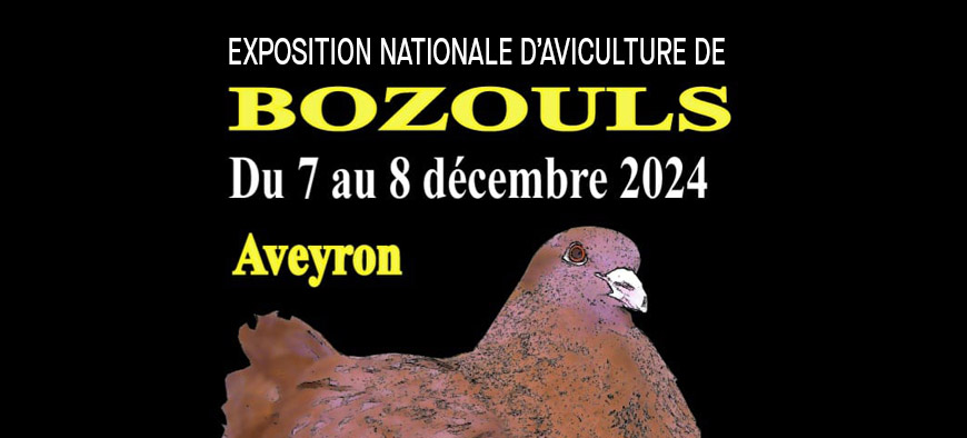 Expositon avicole de Bozouls 