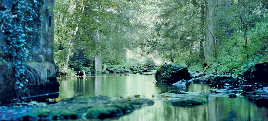 Sécurité alimentaire et en alimentation en eau