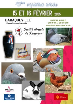 Exposition avicole Baraqueville