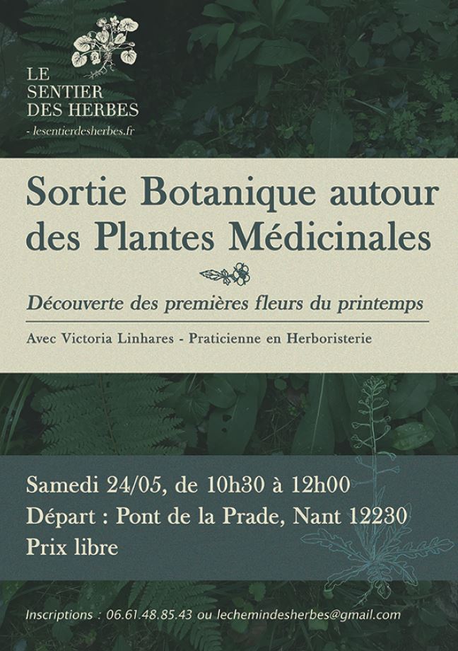 Sortie botanique autour des plantes médicinales Aveyron