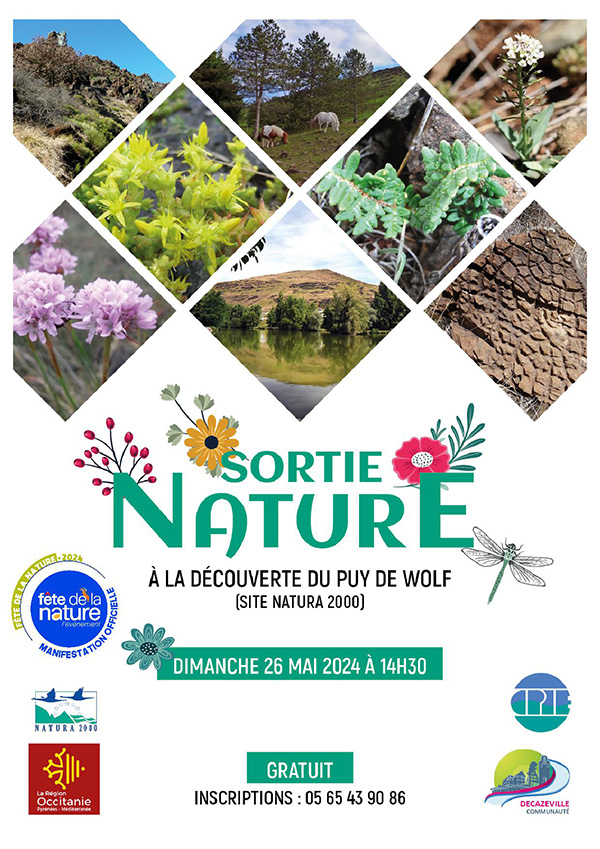 Sortie nature