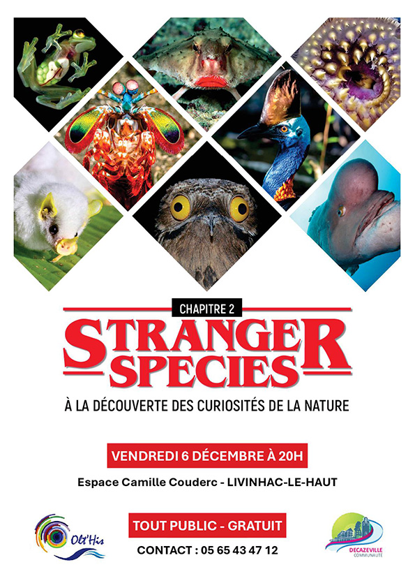 stranger species