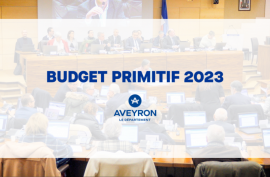 budget primitif 2023