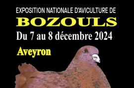 Expositon avicole de Bozouls 
