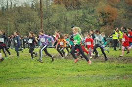 Cross scolaire 2024