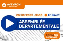 Assemblée départementale