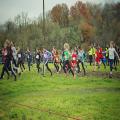 Cross scolaire 2024