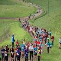 Cross scolaire 2024