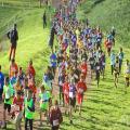 Cross scolaire 2024
