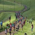 Cross scolaire 2024